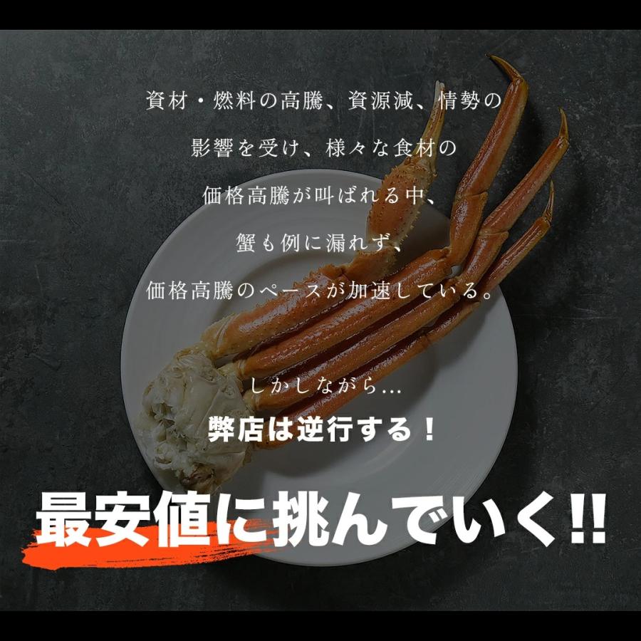 北海道 直送 ズワイガニ ズワイ蟹 ズワイ かに 蟹 カニ ボイル ボイル冷凍 浜ゆで