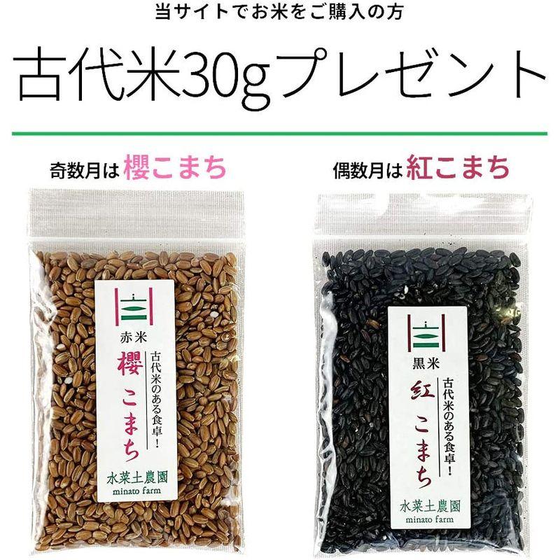 水菜土農園無洗米新米 令和4年産 秋田県産 あきたこまち 15kg (5kg×3袋) 古代米お試し袋付き