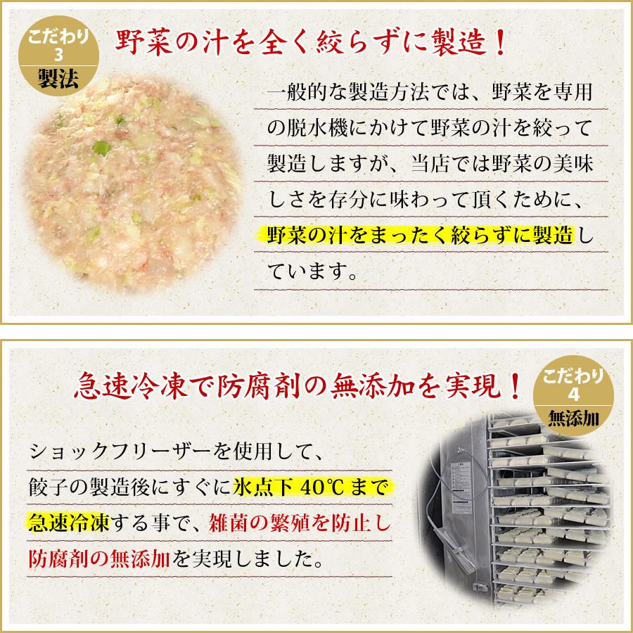 (プリプリエビ生餃子５０個入り) １０人前 詰め合わせ 冷凍餃子  生餃子 餃子 ぎょうざ ギョーザ ギョウザ 冷凍生餃子 お取り寄せ セット 冷凍食品 グルメ