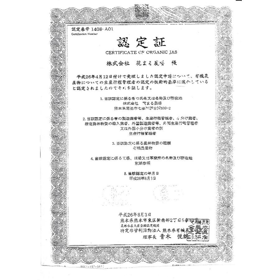 無農薬玄米 米 2kg 森のくまさん 熊本県産 有機米 5年産