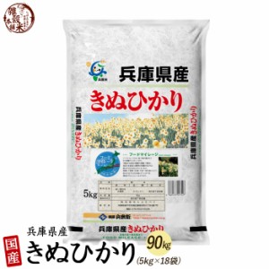 兵庫県産 キヌヒカリ 90kg(5kg×18袋) 精白米 国産 令和5年産 国産キヌヒカリ100％ 送料無料 精米工場からの直送品