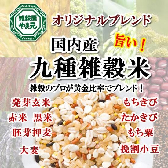 雑穀米 国産 送料無料 1kg 9種ブレンド 雑穀エキスパートが黄金比率ブレンド 安心の国内産雑穀使用