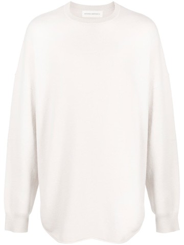 extreme cashmere - crew-neck knitted jumper - unisex - Nylon/Spandex/Elastane/Cashmere - One Size - Neutrals