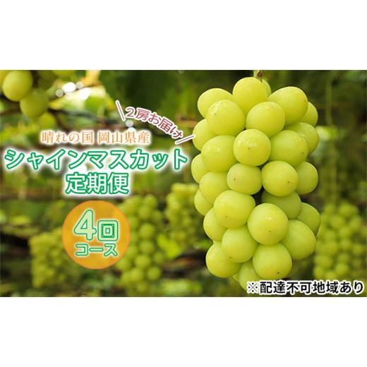 ふるさと納税 岡山県 里庄町 ぶどう 2024年 先行予約 晴れの国 シャインマスカット 2房 定期便 4回 コース 葡萄 岡山 国産 フルーツ 果物