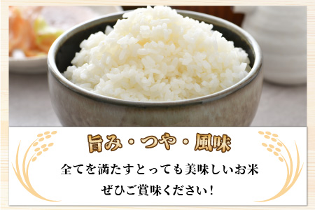 《定期便12回》特別栽培米 いっちょらい 精米 5kg（計60kg）／ 福井県産 ブランド米 コシヒカリ ご飯 白米 新鮮 大賞 受賞 新米