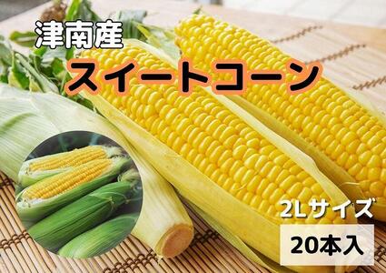 朝取りスイートコーン 2Lサイズ 20本（1本約400g）