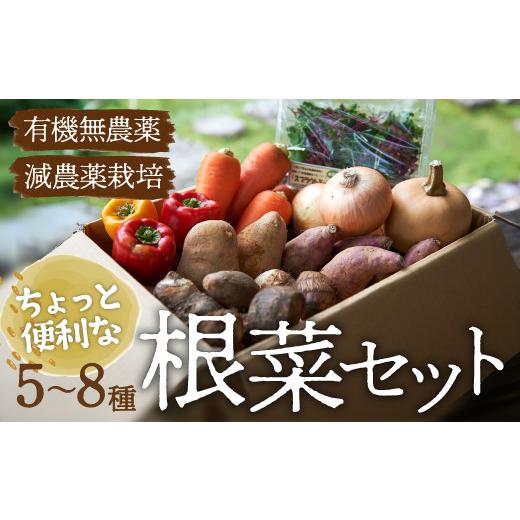 ふるさと納税 愛媛県 大洲市 ちょっと便利な根菜セット