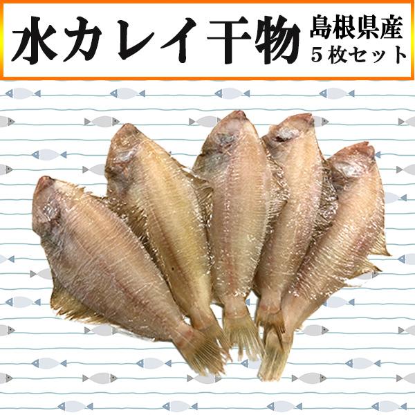 水カレイ 5枚セット 一夜干し 島根県産 干物 送料無料 かれい おかず