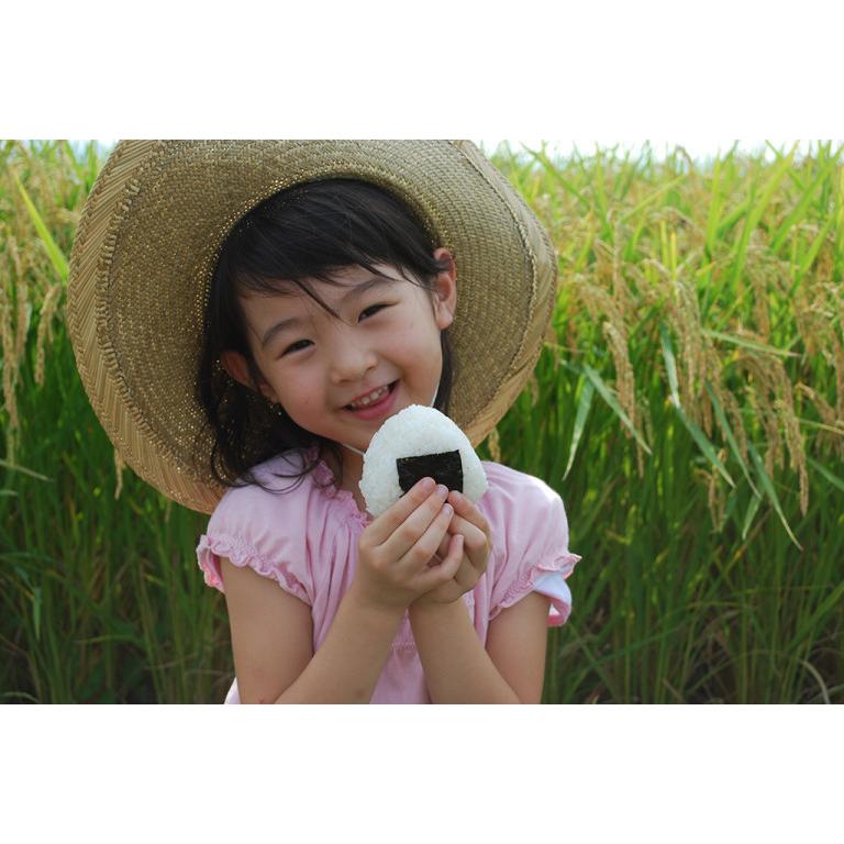 送料無料 令和５年度米 渡部浩見 漢方農法米 特別栽培米 ゆめおばこ ５kg