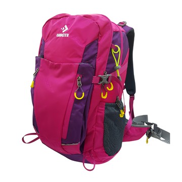 DIBOTE迪伯特 專業登山休閒背包 輕量化 舒適透氣 玫色  40L