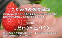 いちご 2023年12月より発送 うるう農園のあまおう スタンダード4パック 約1.14kg※配送不可：離島