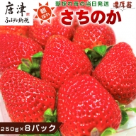 『予約受付』濃厚苺 さちのか 250g×8パック(合計2kg) 濃厚いちご 苺 イチゴ 果物 フルーツ ビタミン