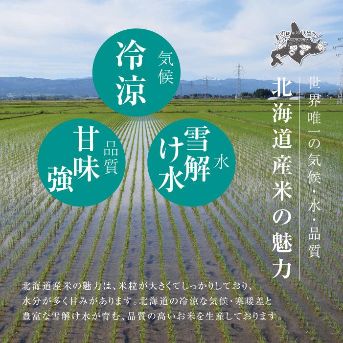 令和5年度産 新米 送料無料 ゆめぴりか 30kg（10kg×3袋） 米 白米 北海道 安い  直送