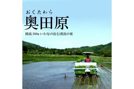 安来のお米こりゃう米（まい）玄米 5kg×3回（隔月）［令和5年産 新米］