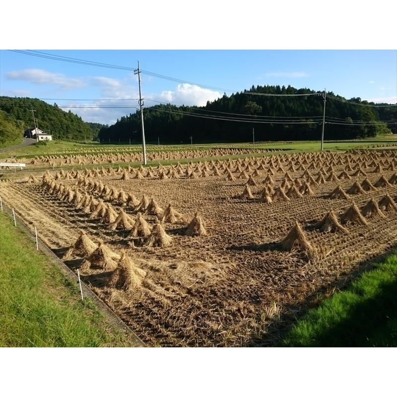 新米あきさかり精米10kg(5kg×2) 令和5年 神石高原町産 食べ飽きないあっさり食感！