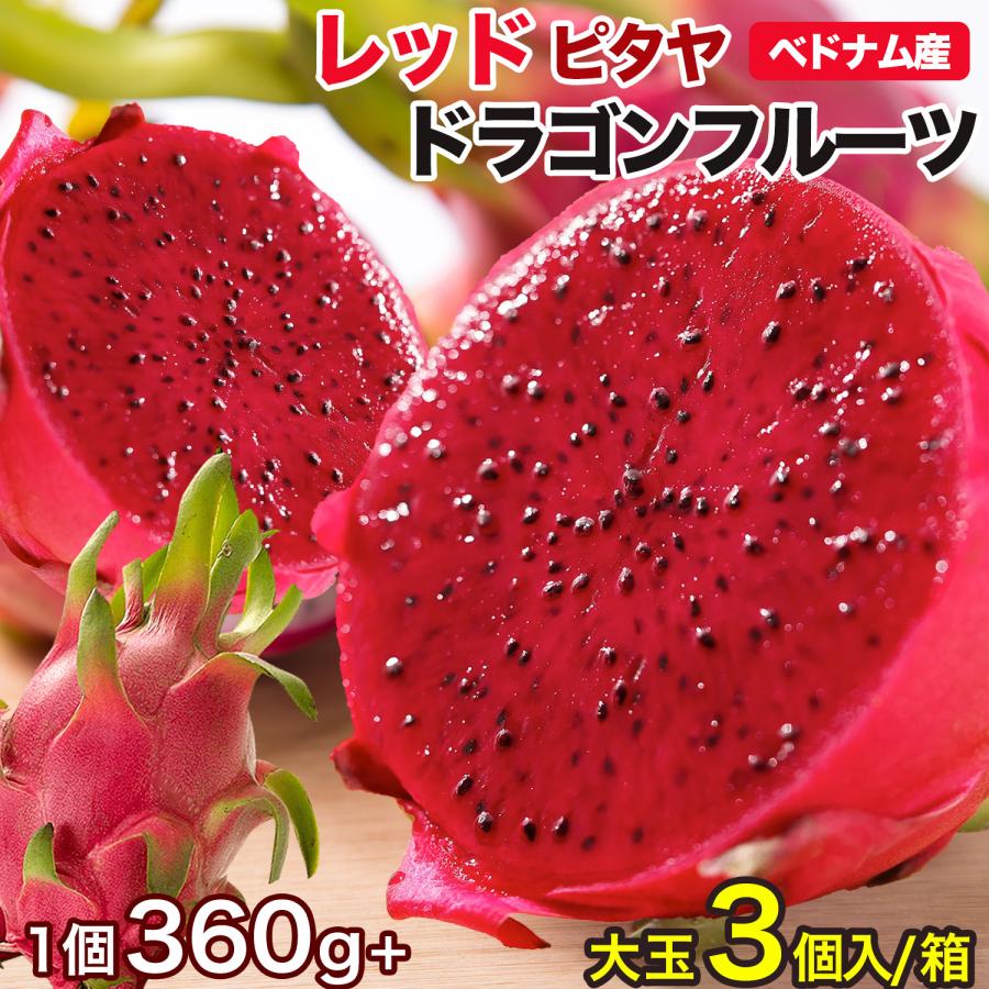 ドラゴンフルーツ（レッド）3個入 1個350g以上 約1.2kg ベトナム産 赤肉腫 レッドピタヤ 日本向け 火龍果 Dragon Fruit Pitaya 厳選南国フルーツ