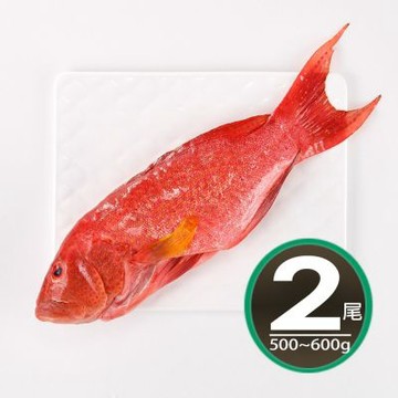 【華得水產】空運燕尾紅條魚2條組(500-600g/條)