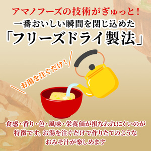 味噌汁 スープ フリーズドライ アマノフーズ 金のだし おみそ汁バラエティ10食 インスタント レトルト