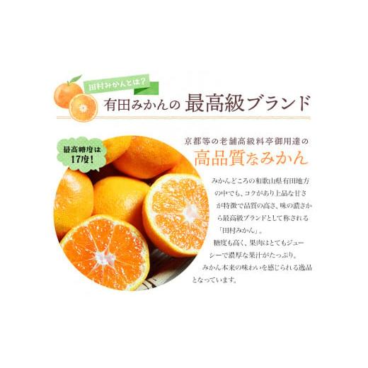 ふるさと納税 和歌山県 すさみ町 高級ブランド 田村みかん 10kg※2023年11月下旬頃〜2024年1月下旬頃に順次発送予定(お届け日指定不可)／みかん ミカ…