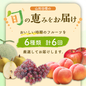 ※2024年発送※山形県産 6種類 旬のフルーツ定期便（計6回） ぶどう 桃 メロン りんご等