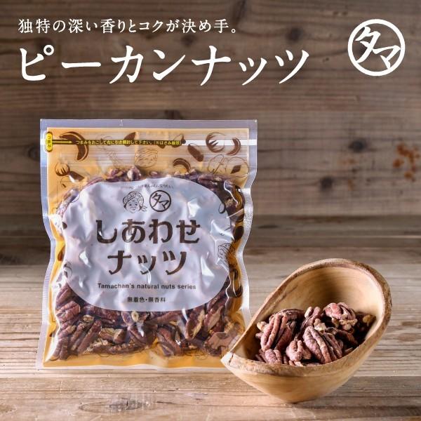 ピーカンナッツ 100g お試し ナッツ アメリカ産 栄養の実 無添加 無塩 ロースト 素焼き 焙煎 ポイント消化 オレイン酸 食物繊維