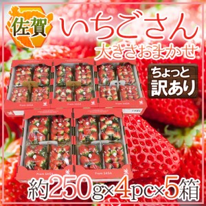 佐賀 ”いちごさん” ちょっと訳あり 約250g×4パック×《5箱》 大きさおまかせ 送料無料