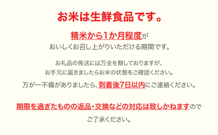 米 新米 20kg 5kg×4 はえぬき 精米 令和5年産 2023年産 山形県村山市産 ※沖縄・離島への配送不可 ja-haxxa20