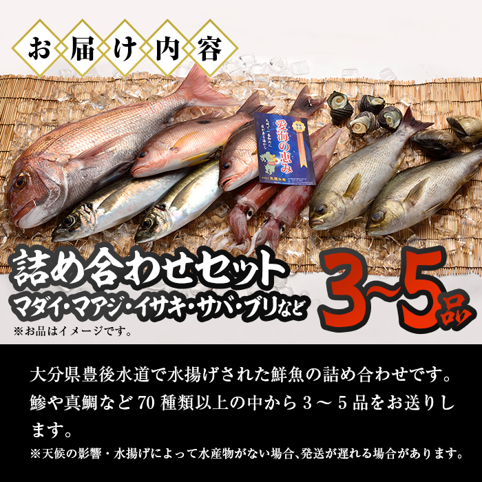 天然 鮮魚詰め合わせ (合計約2.8-3.2kg・3種以上) 直送 産直 漁師 魚 鮮魚 天然 マダイ 鯛 マアジ 鯵 イサキ サバ 鯖 ブリ 鰤 獲れたて 刺身 煮つけ 塩焼き 冷蔵 豊後水道 鮮魚