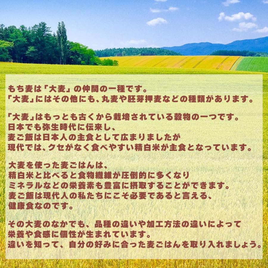 セール 国産 もち麦 2.7kg(450g×6袋) （翌日発送） 無添加 無着色 雑穀 雑穀米 ダイエット 置き換え 食品 食物繊維 送料無料