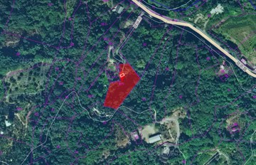 南投市南投酒廠旁~近市區假日休閒農地｜南投縣南投市福助段