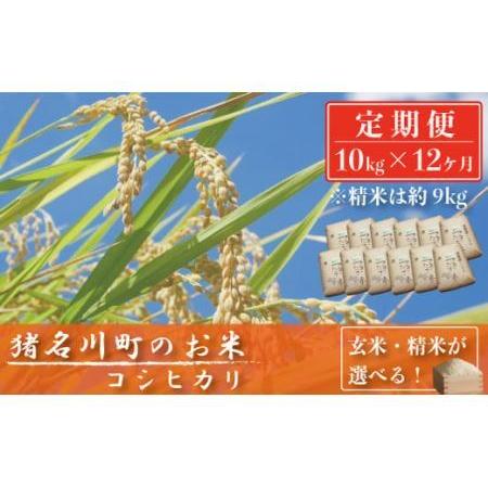 ふるさと納税 猪名川町のお米（コシヒカリ）※精米※毎月配送／こめ コメ こしひかり  兵庫県猪名川町