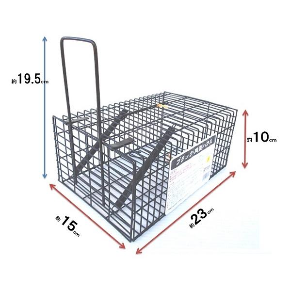 ネズミ捕りブラック　