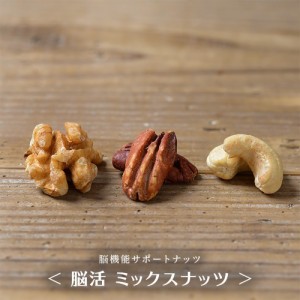 脳活 ナッツ 無添加 素焼き 無塩 500g 送料無料