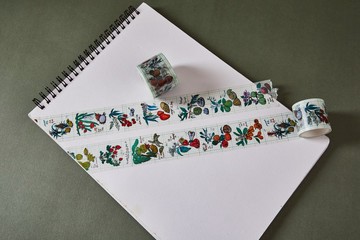 台灣水果花 寬版紙膠帶