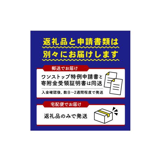 ふるさと納税 滋賀県 竜王町 令和5年産 みずかがみ 玄米 30kg 近江米 新米 米粉 200g付