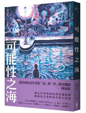 可能性之海[二手書_近全新]