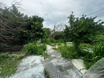 烏日溪尾村莊中的休閒假日小農夫灌溉水農地｜台中市烏日區溪尾南段