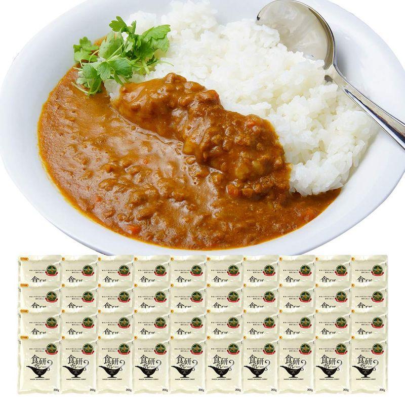 カレー レトルトカレー 中辛 ビーフカレー 食研カレー 200g 40食セット 北国からの贈り物