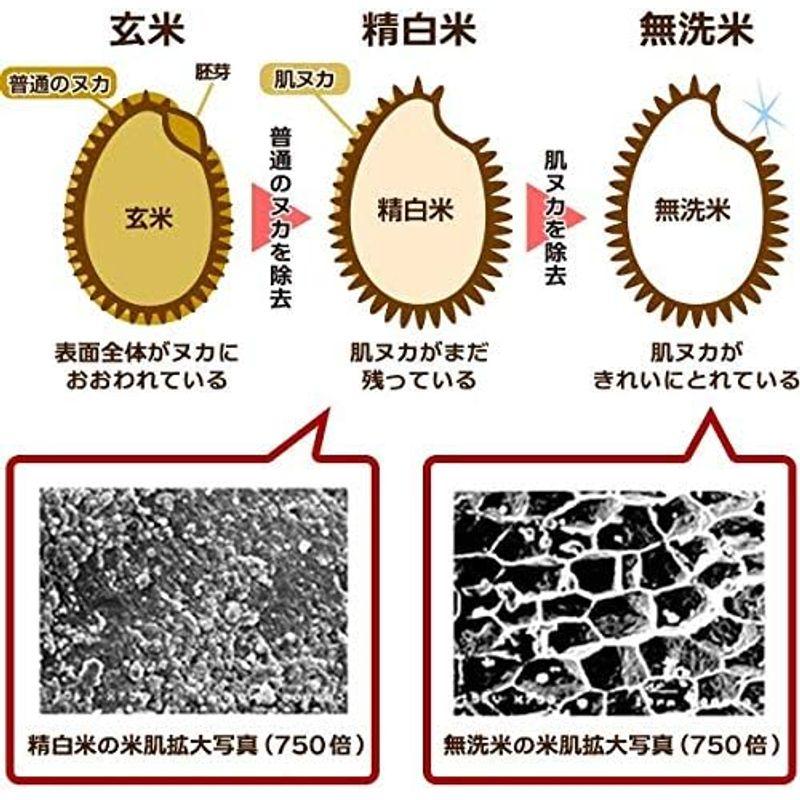 精米ホクレン 無洗米 ふっくりんこ 5kg 令和4年産