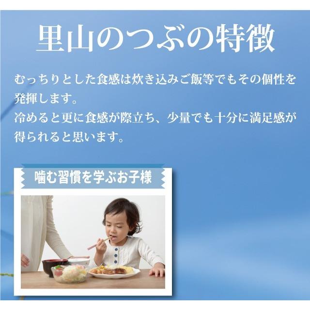 新米 里山のつぶ 精米 2kg 会津産 令和5年産 お米 ※九州は送料別途500円・沖縄は送料別途1000円