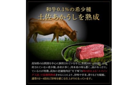 天下味 エイジング工法 熟成肉 土佐あかうし 特選赤身 牛 サイコロステーキ 500g×2 合計1kg エイジングビーフ 赤身 国産 あか牛 赤牛 肉 牛肉 和牛 人気 老舗焼肉店 冷凍 新鮮 真空パック 高知 高知県 芸西村 故郷納税 40000円 返礼品 贈り物 贈答 ギフト