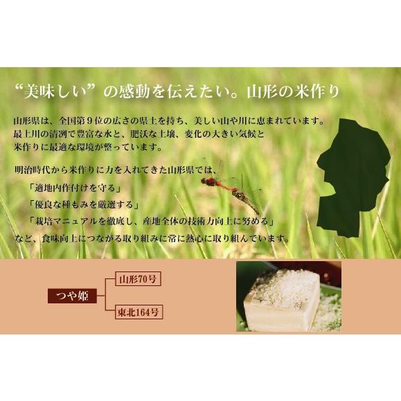 特価 令和4年産 5kg×4袋 つや姫 山形県産 精白米 白米 20kg 特別栽培米 送料無料（SL）