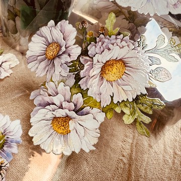 暖日子 (Warm Days)