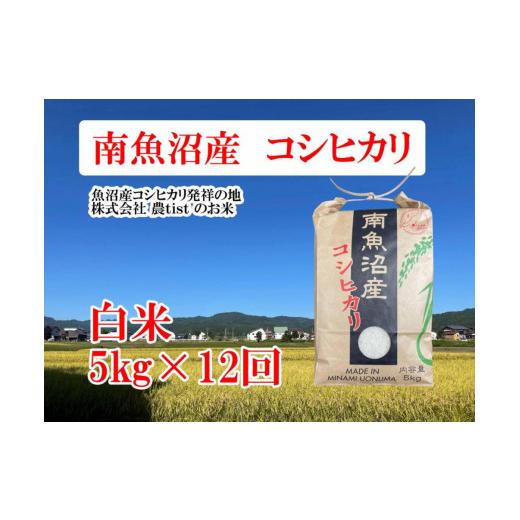 ふるさと納税 新潟県 南魚沼市  コシヒカリ 白米５kg×12回