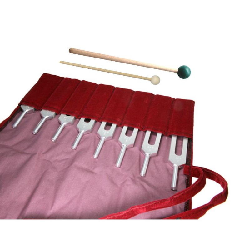 ソーラーハーモニックス最高峰BIOSONICS社製サウンドヒーリング  