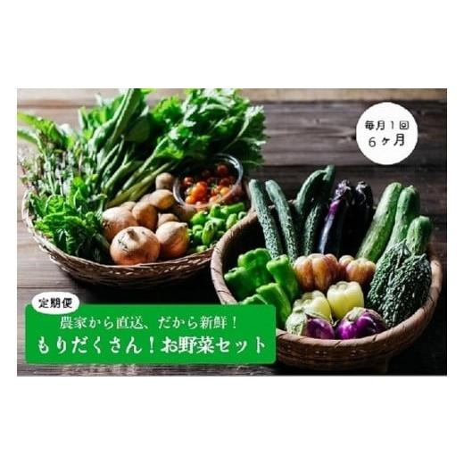 ふるさと納税 栃木県 大田原市 もりだくさんお野菜セット［6回定期便／5〜10月］