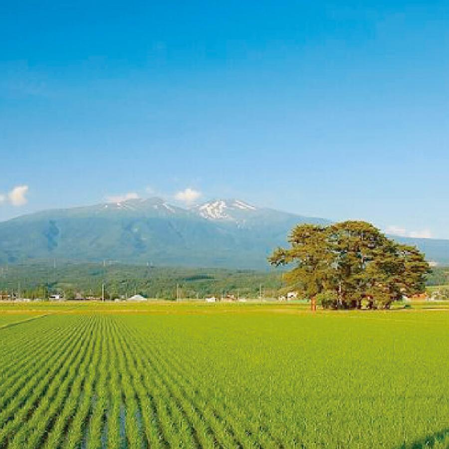 米 お米 岩手 精米 こめ ライスフレンド 岩手県産 銀河のしずく 5kg(5kg×1袋)