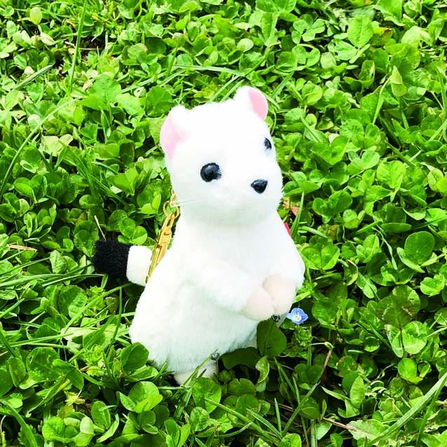 キティちゃん　オコジョ　　白　ぬいぐるみ　マスコット　ハローキティ 白樺 白樺オコジョハローキティぬいぐるみ白(タグ付)