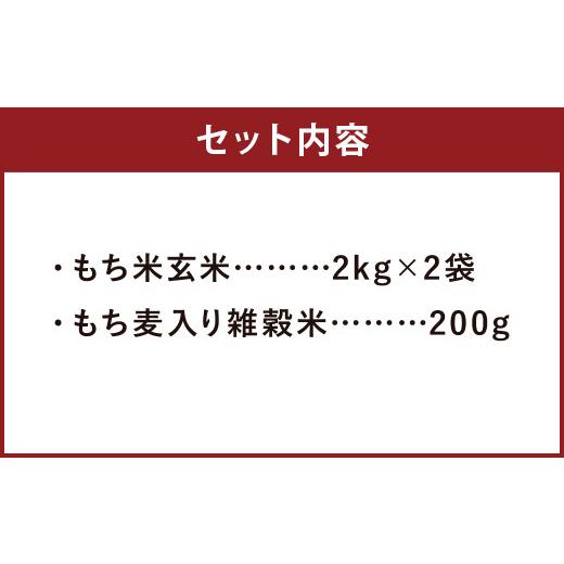 ふるさと納税 熊本県 菊池市 熊本県菊池産 もち米 玄米 2kg×2袋 雑穀米 200g 計4.2kg ヒヨクモチ