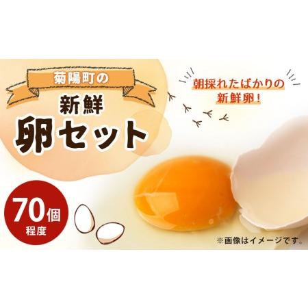 ふるさと納税 菊陽町の新鮮たまごセット ／ 生卵 タマゴ 新鮮 朝採れ 熊本県 特産品 熊本県菊陽町